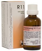 Dr. Reckeweg R11 50 ml