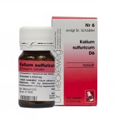 Dr. Reckeweg Cellsalt Nr 6 Kalium sulfuricum D6