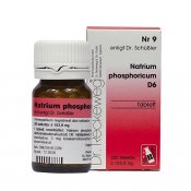 Dr.Reckeweg Cellsalt Nr 9 Natrium phosphoricum D6