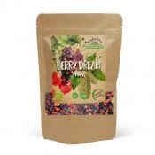 Rawfoodshop Berry Dream Mix EKO 1kg
