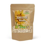 Rawfoodshop Solroskärnor EKO 500g