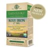 Solgar Earth Source Food Fermented Koji Iron 27 mg 30 kapslar