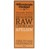 Wermlandschoklad Apelsin Eko Raw 50g