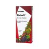 Salus Blutsaft Floradix 250 ml