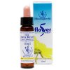 Five Flower Remedy Räddningsdroppar 10 ml