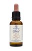 Five Flower Remedy Räddningsdroppar 30 ml