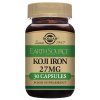 Solgar Earth Source Food Fermented Koji Iron 27 mg 30 kapslar