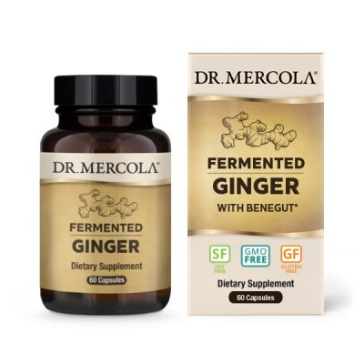 Dr. Mercola Fermented Ginger 60 kapslar