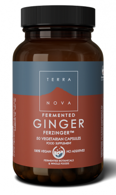 Terranova Fermented Ginger Ferzinger 250mg 50 kapslar