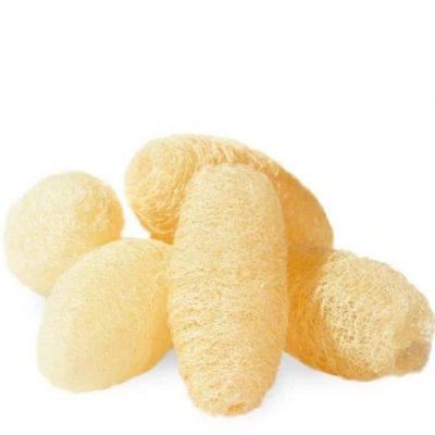 Crearome Loofagurka liten 5 pack