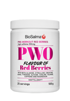 BioSalma PWO Red Berries 500 g